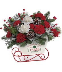 Sleigh The Season from Mona's Floral Creations, local florist in Tampa, FL